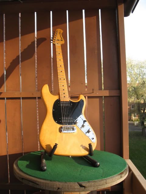 Bild