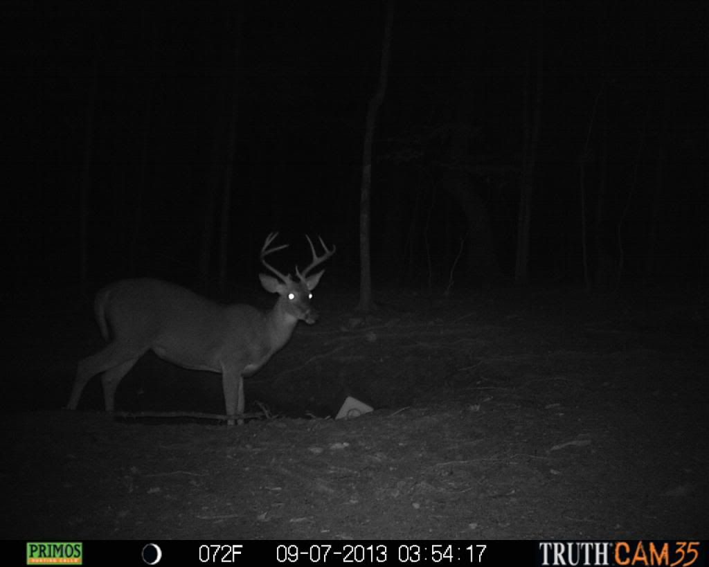 TrailCamera09-14-13254_zpsc81bdc4a.jpg