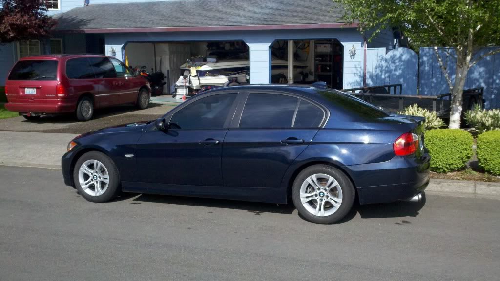 Bmw blue tint #6