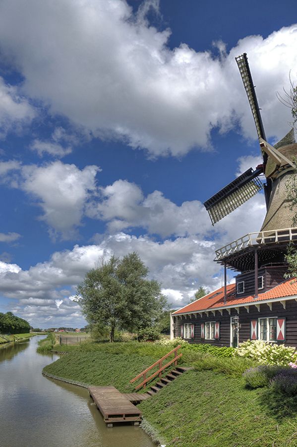 Fotografie
