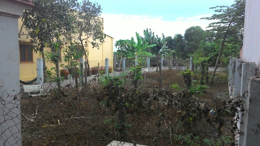 Bán Đất Vườn 300m2 Ấp Tân Điền,Xã Long Thượng,Cần Giuộc Long An