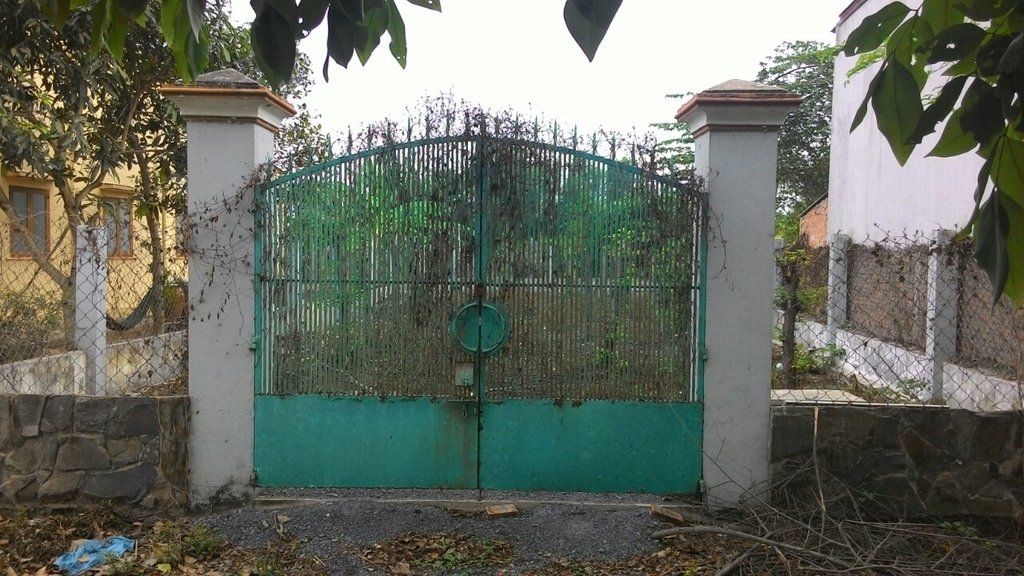 Bán Đất Vườn 300m2 Ấp Tân Điền,Xã Long Thượng,Cần Giuộc Long An - 1