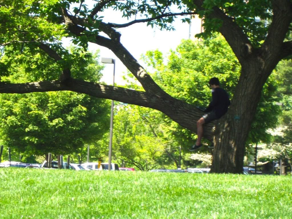 Foto bij [Zevenenveertig] Emmanuel