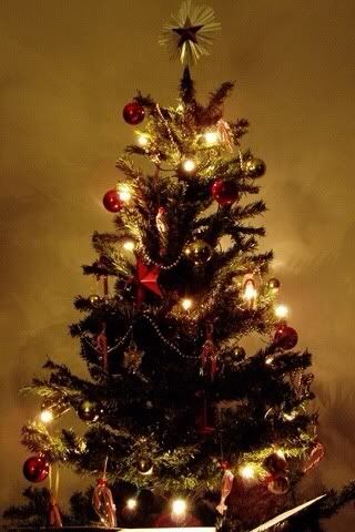 Decorated Christmas Tree Pictures, Images and Photos