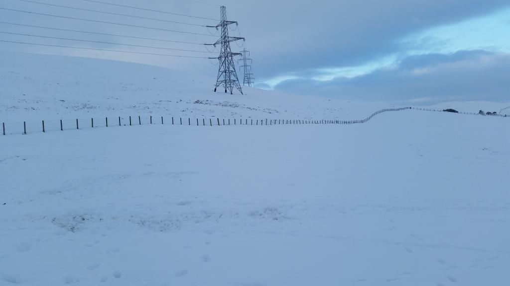 20150118_091302_zpswxsmz9db.jpg