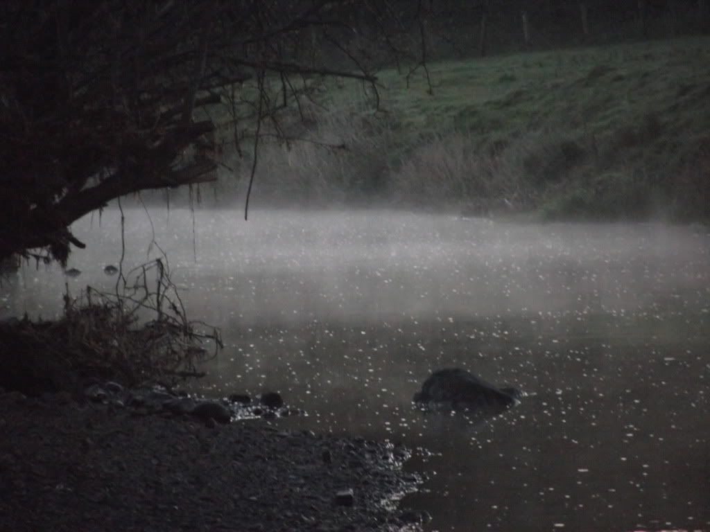 Picture168.jpg