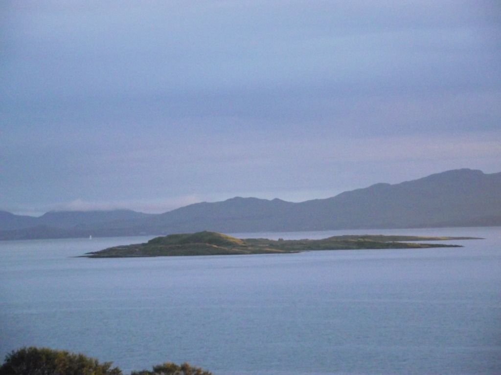 Picture230.jpg