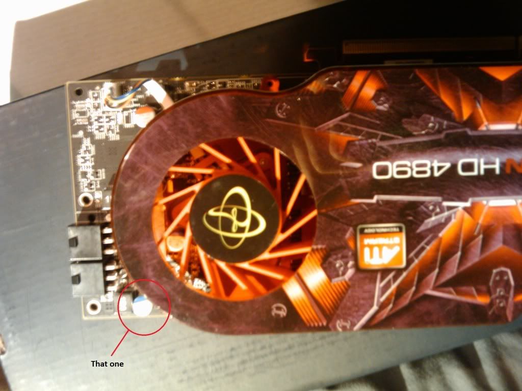 20110204162856.jpg