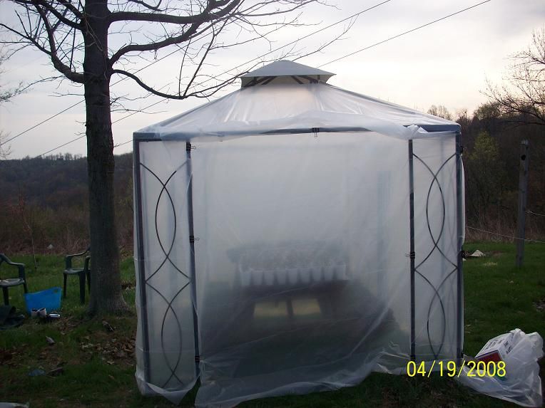 greenhouse3.jpg