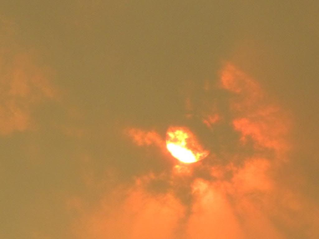 Fire008.jpg