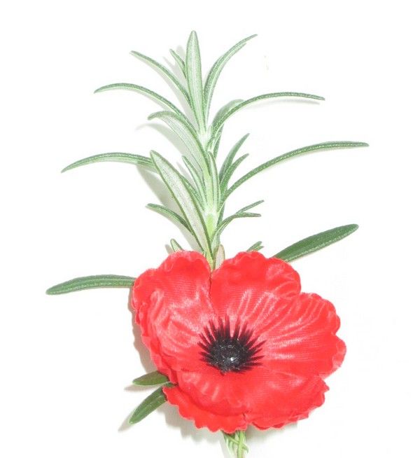poppy1.jpg