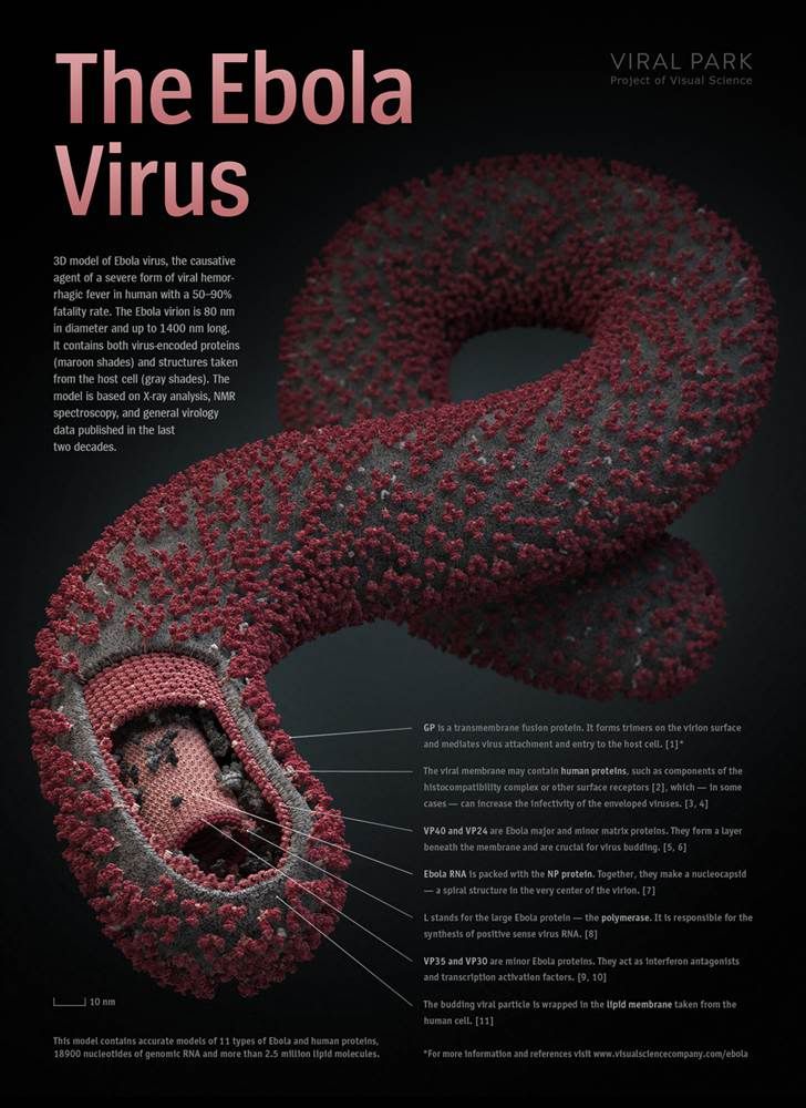 120202-viz-09-ebolaposterss_full.jpg