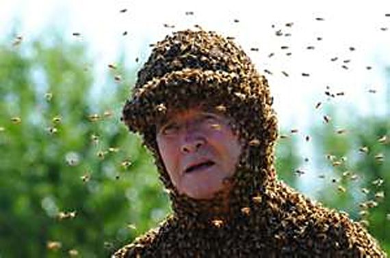 Beesuit.jpg
