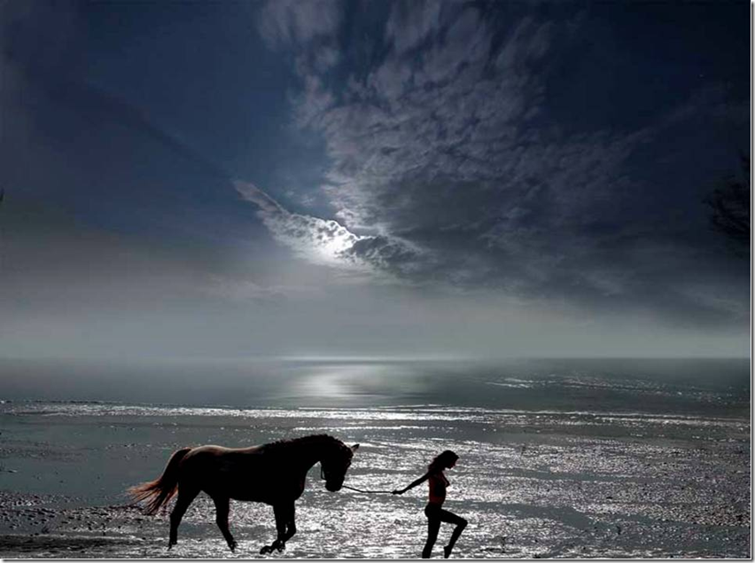 WomanWithHorseonBeach.png