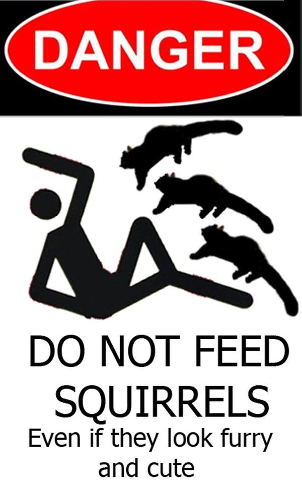 Do_Not_Feed_Squirrels_by_hosmer23.jpg