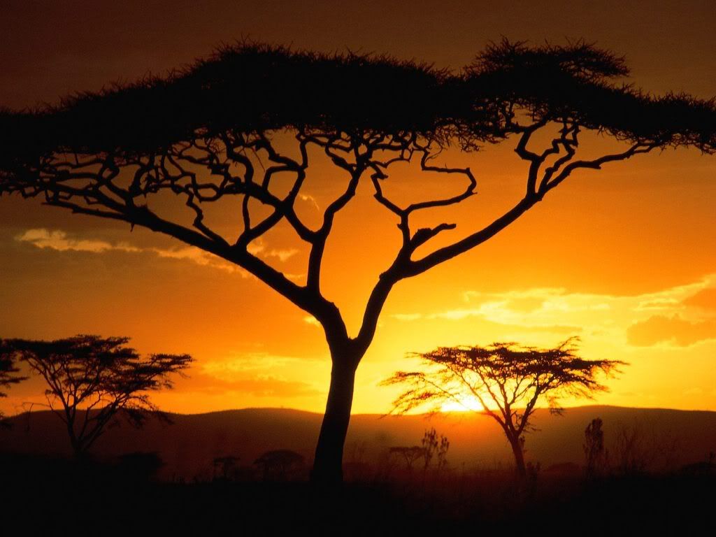 Tanzanian_Sunset.jpg