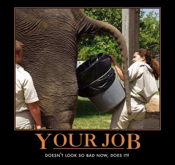 your-job.jpg