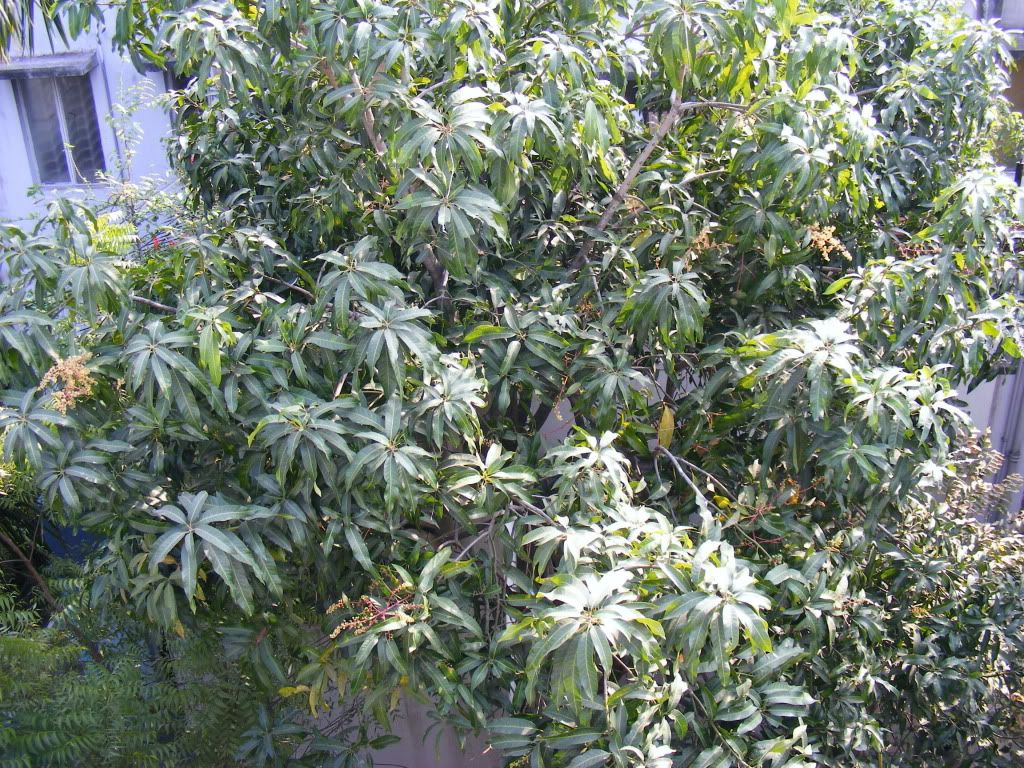 DSCF0365.jpg