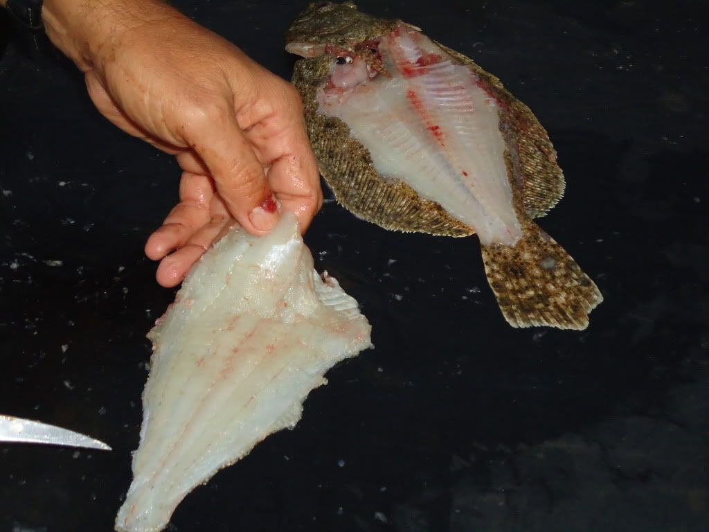 Flounder.jpg