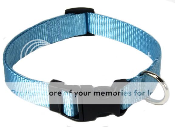 Large Deluxe Nylon Dog Collar  