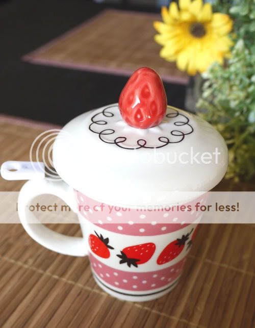Decole Japan Strawberry Cake Ceramic Coffee Tea Mug Cup w Strainer Lid Set