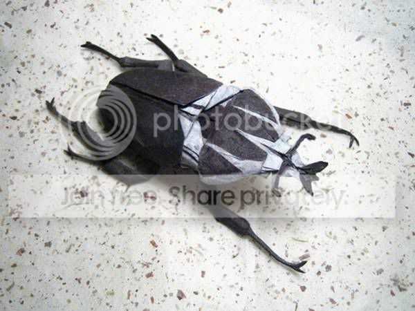 BrianChanCreation-005.jpg