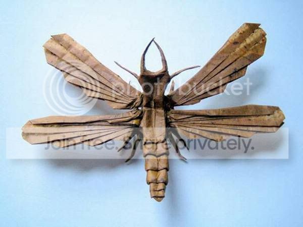 BrianChanCreation-011.jpg