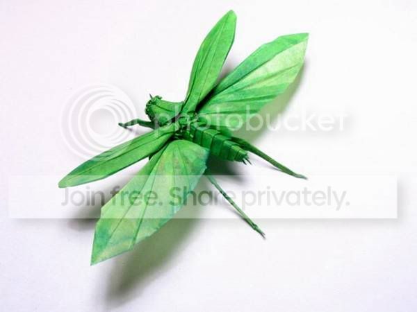 BrianChanCreation-012.jpg