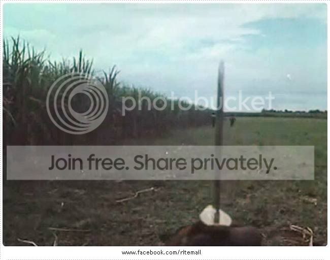 securedownload3.jpg