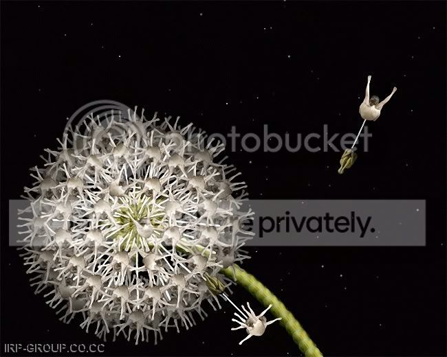 securedownloadjpeg4.jpg