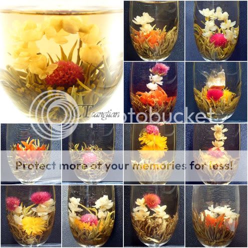   * 10 Kinds Blooming Flower Flowering Green Artistic Tea Ball HANDMADE